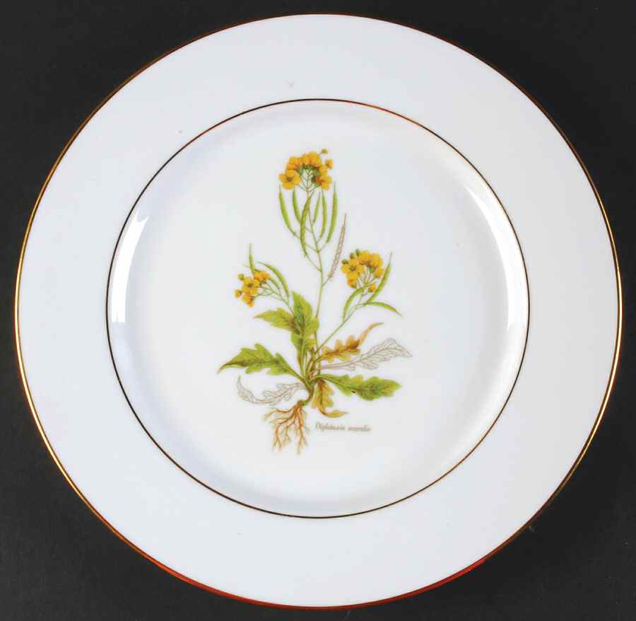 PRL8-Gold Trim Dinner Plate by Primula-1