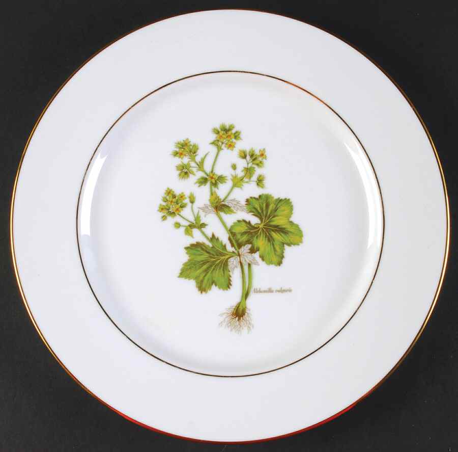PRL8-Gold Trim Dinner Plate by Primula-1