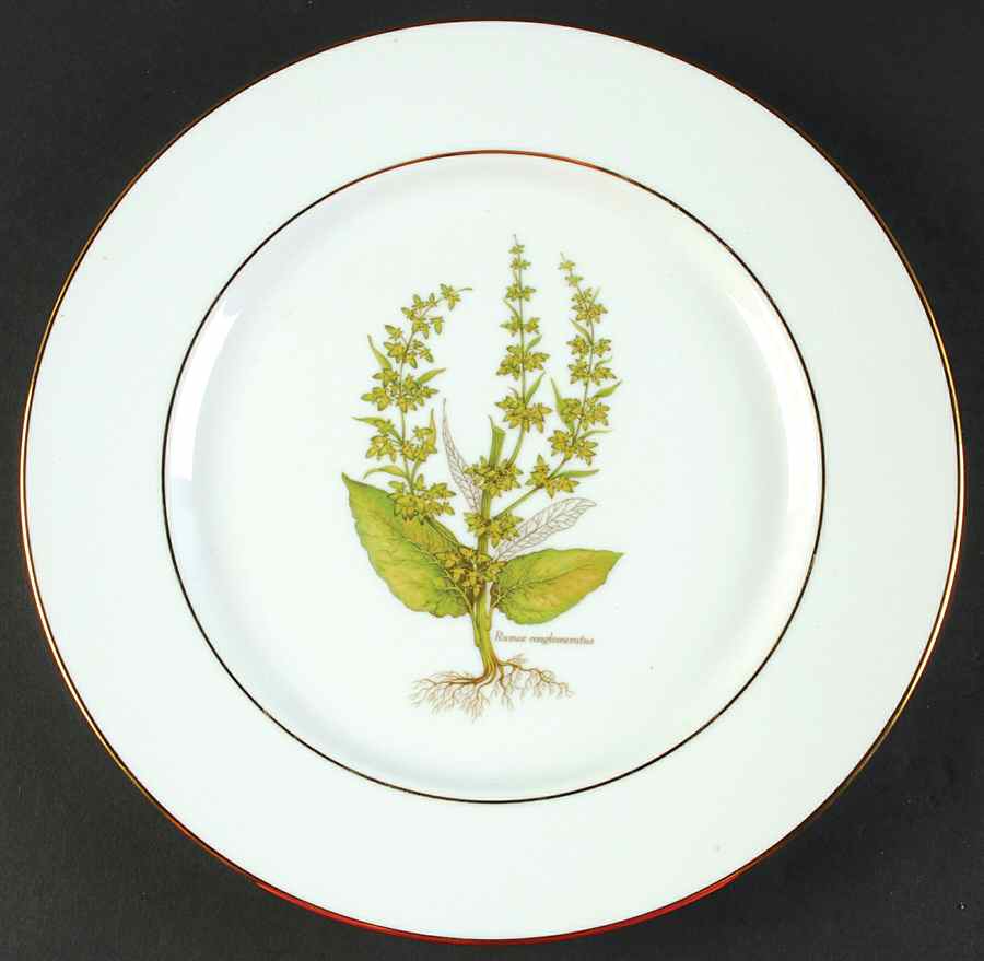 PRL8-Gold Trim Dinner Plate by Primula-1