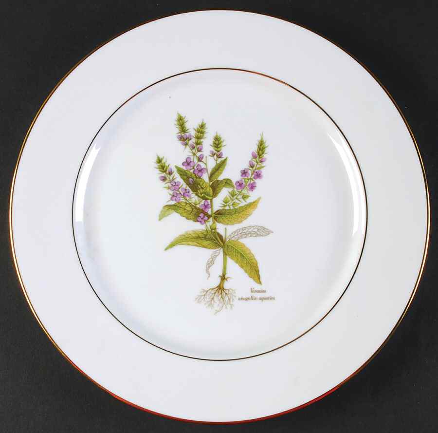 PRL8-Gold Trim Dinner Plate by Primula-1
