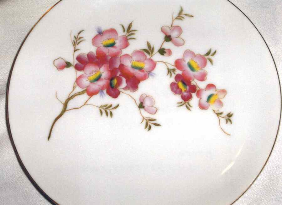 UCA74 Snack Plate by Ucagco-1