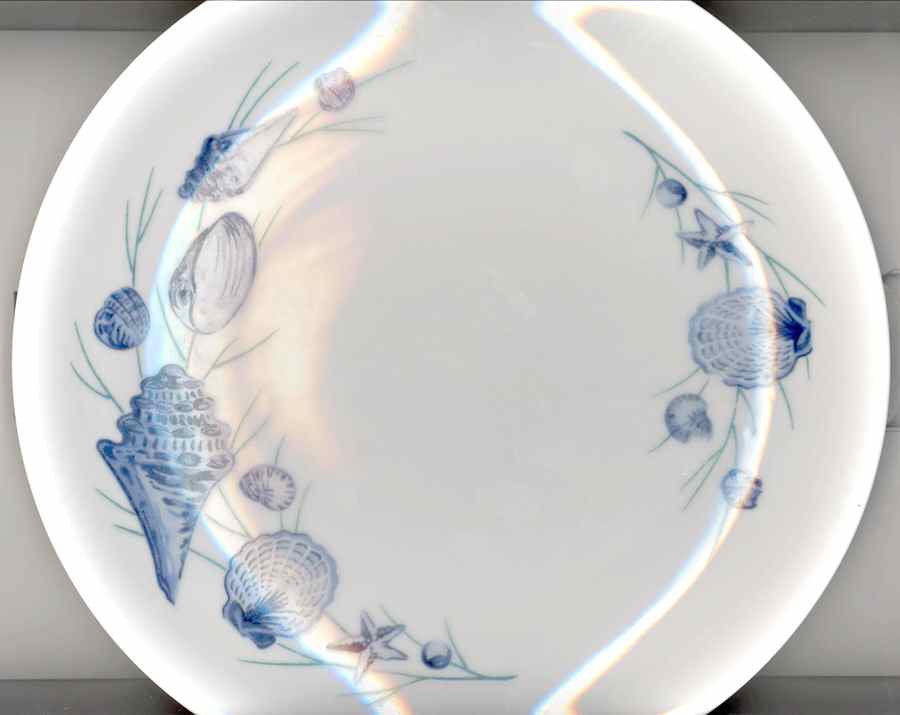 Sea Floral Dinner Plate by Unknown Manufacturer-1