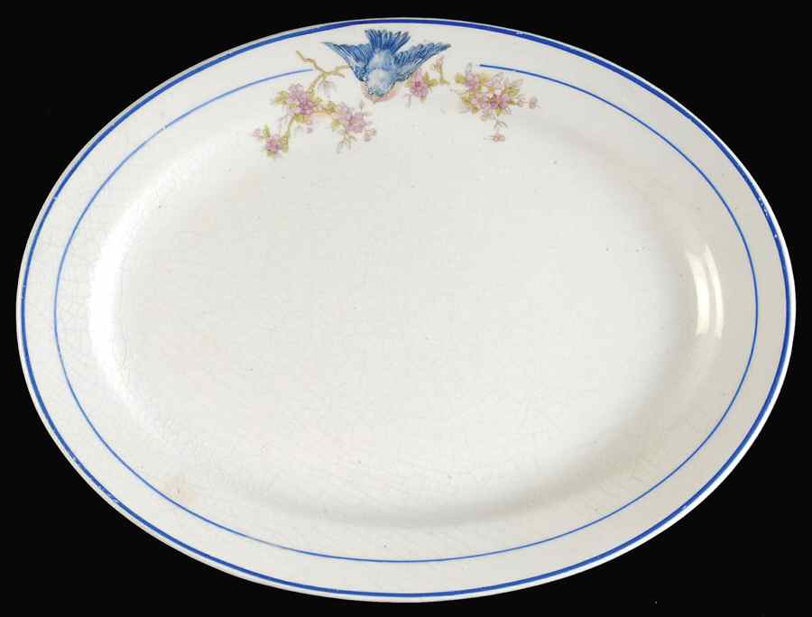 Bluebird (Blue Trim & Band, No Marks) 9" Oval Serving Platter by Unknown Manufacturer-1