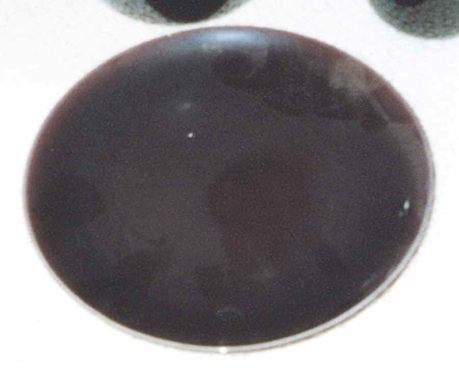 UPS6 Dinner Plate by Upsala Ekeby-1