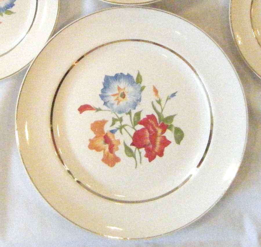 UNI208 Dinner Plate by Universal-1