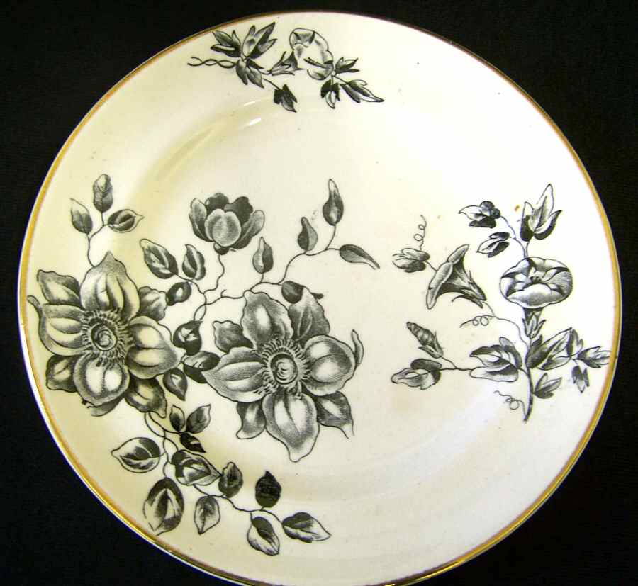 Clematis Dinner Plate by James Hadley-1