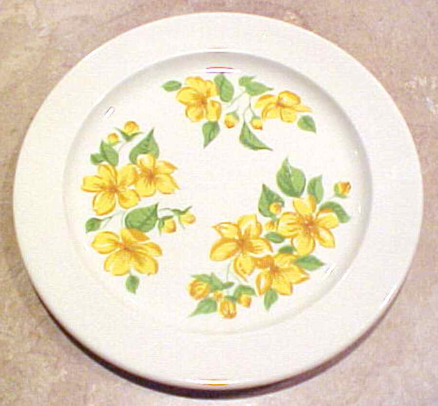 USA89 Dinner Plate by USA-1