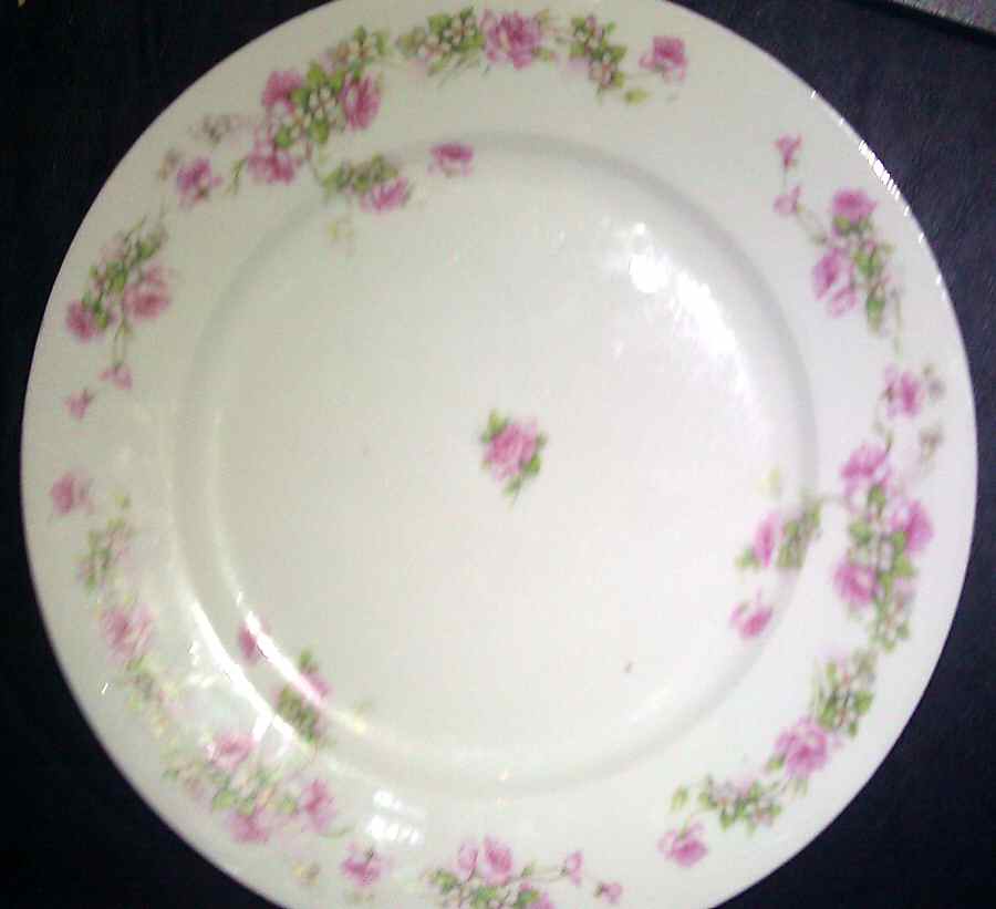 UC842 Dinner Plate by Unknown Manufacturer-1