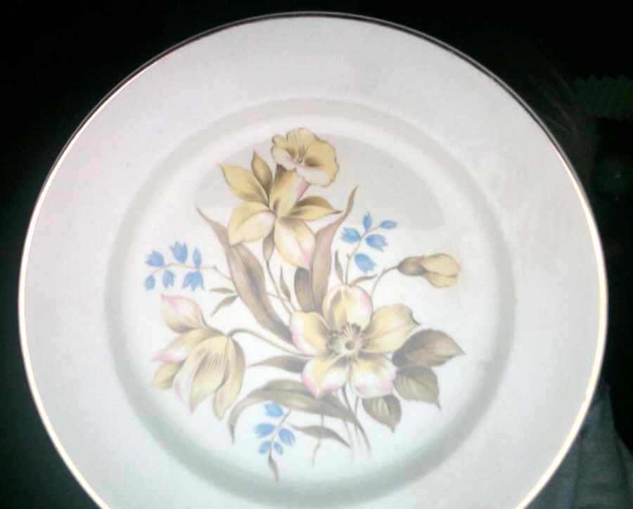 UNI210 Dinner Plate by Universal-1