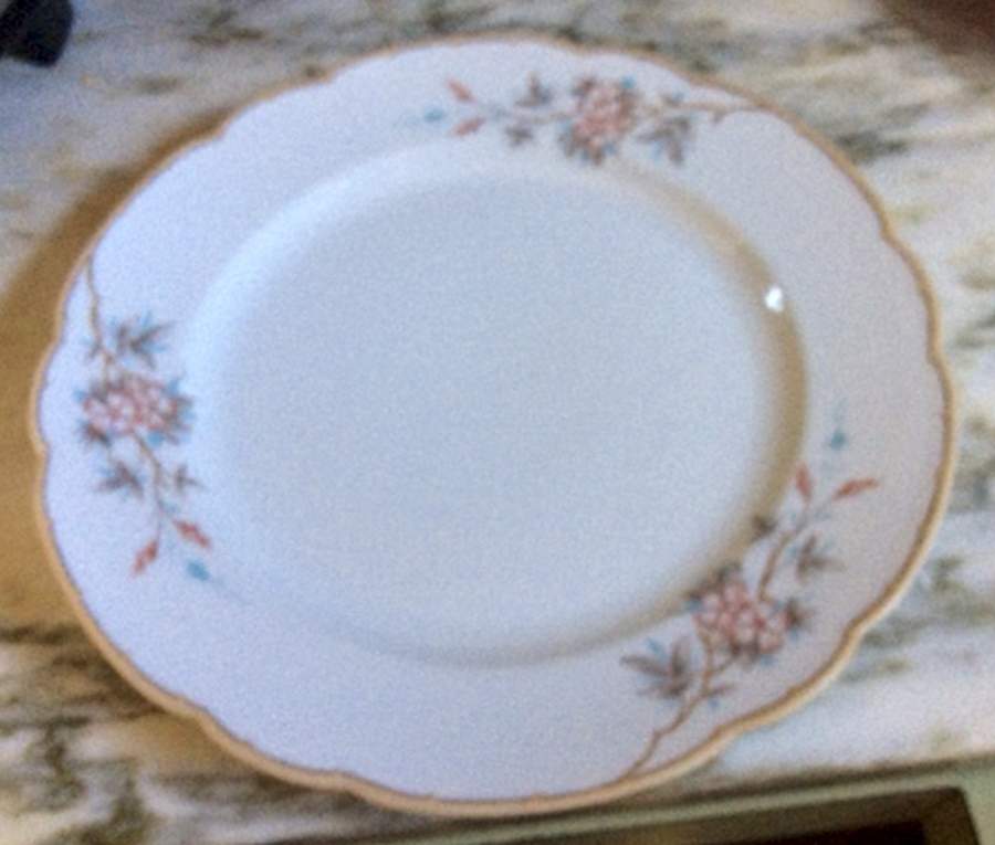 1494N-V Dinner Plate by Japan-1