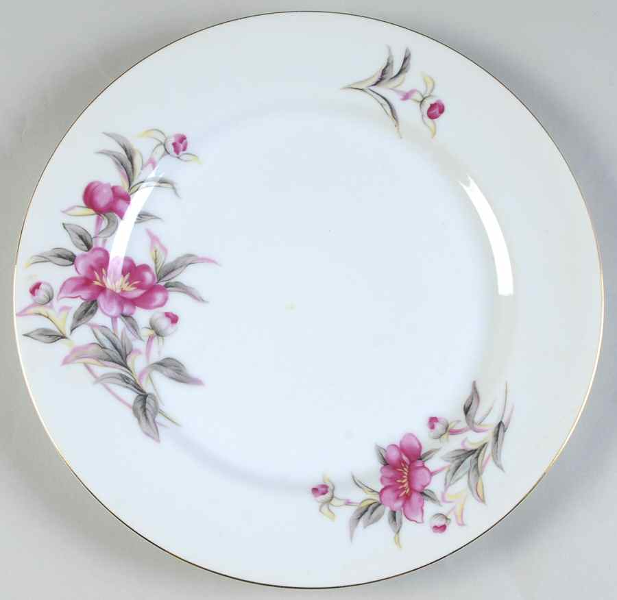 Radiance Dinner Plate by Ucagco-1