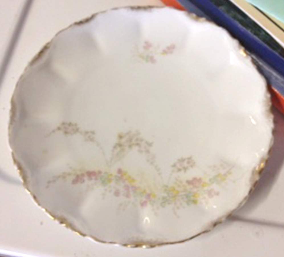 02309 Dinner Plate by Unknown Manufacturer-1
