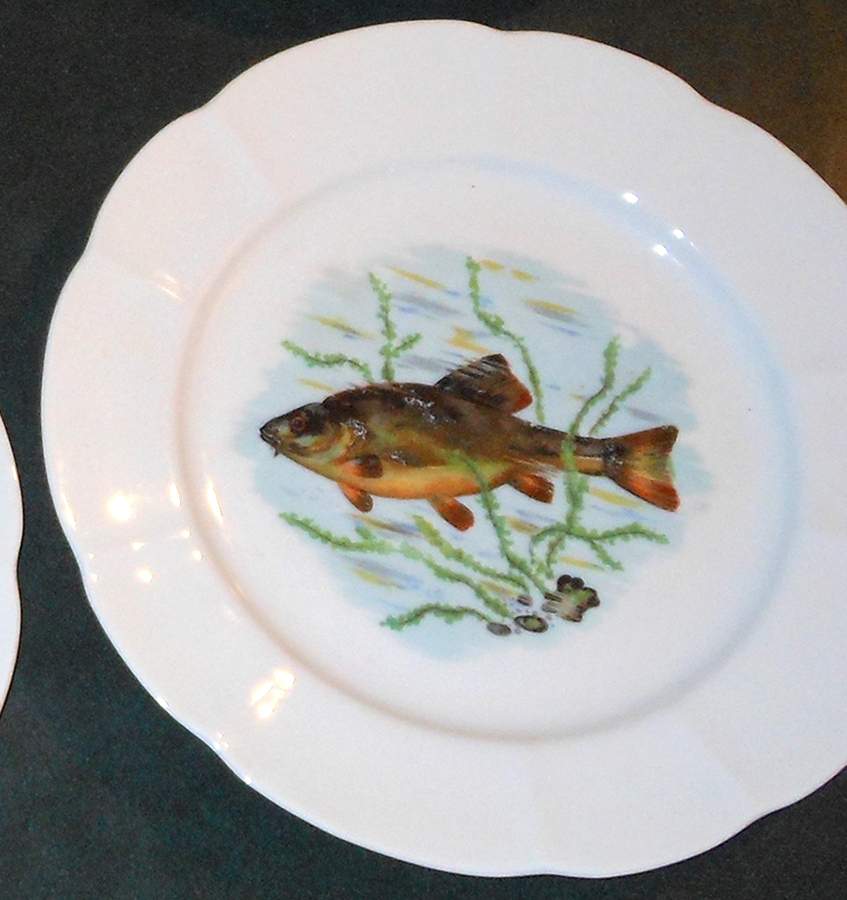 ULE2 Dinner Plate by Couleuvre Limoges-1