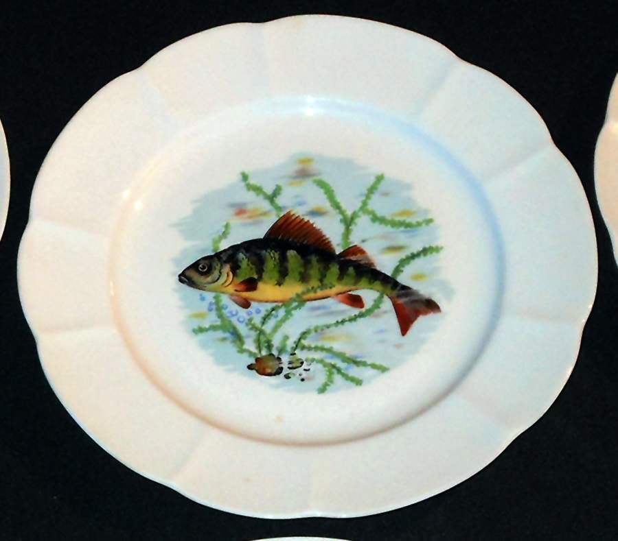 ULE2 Dinner Plate by Couleuvre Limoges-1
