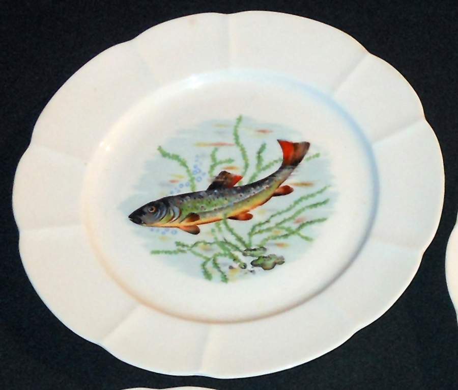 ULE2 Dinner Plate by Couleuvre Limoges-1