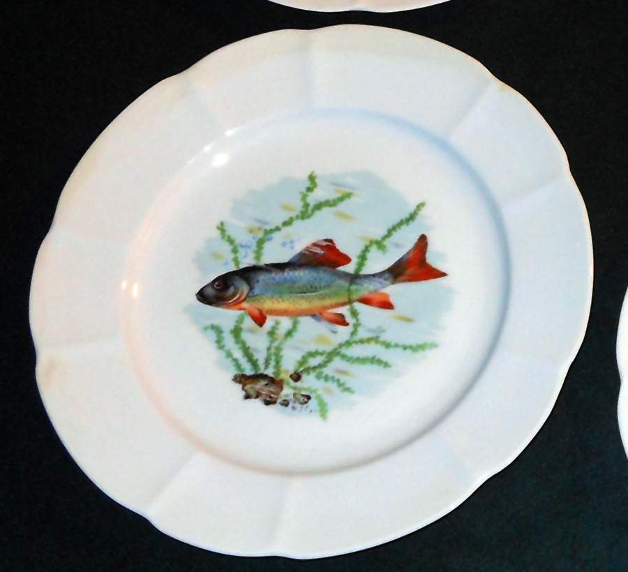 ULE2 Dinner Plate by Couleuvre Limoges-1