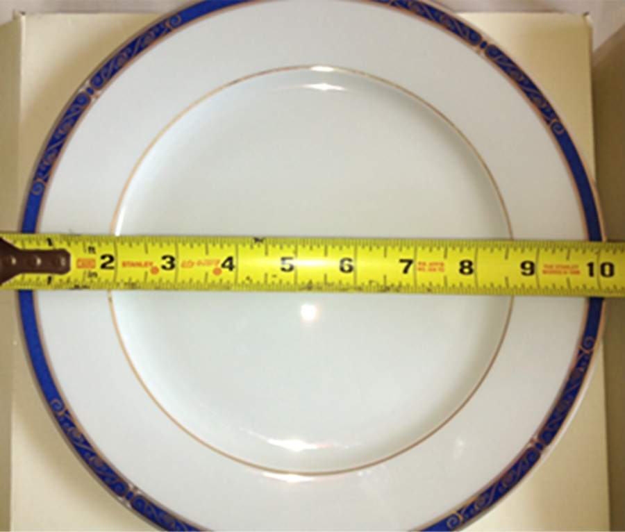 Adagio Dinner Plate by Union Limousine-1