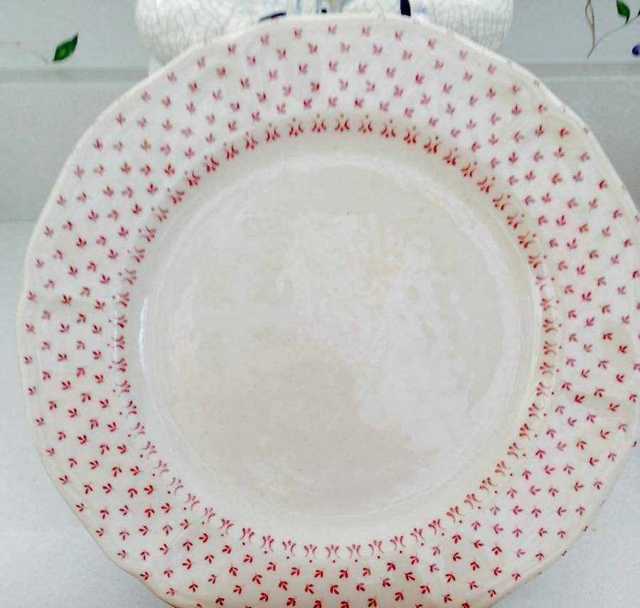 Priscilla Pink Dinner Plate by Unknown Manufacturer-1