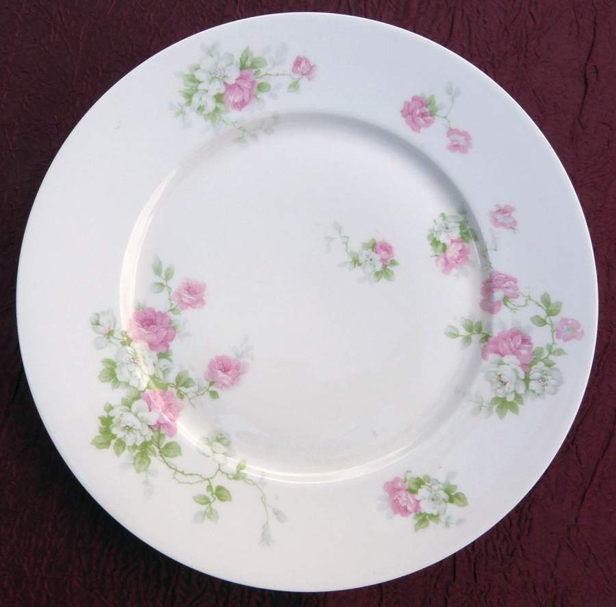 UNC248 Dinner Plate by Union Ceramique-1