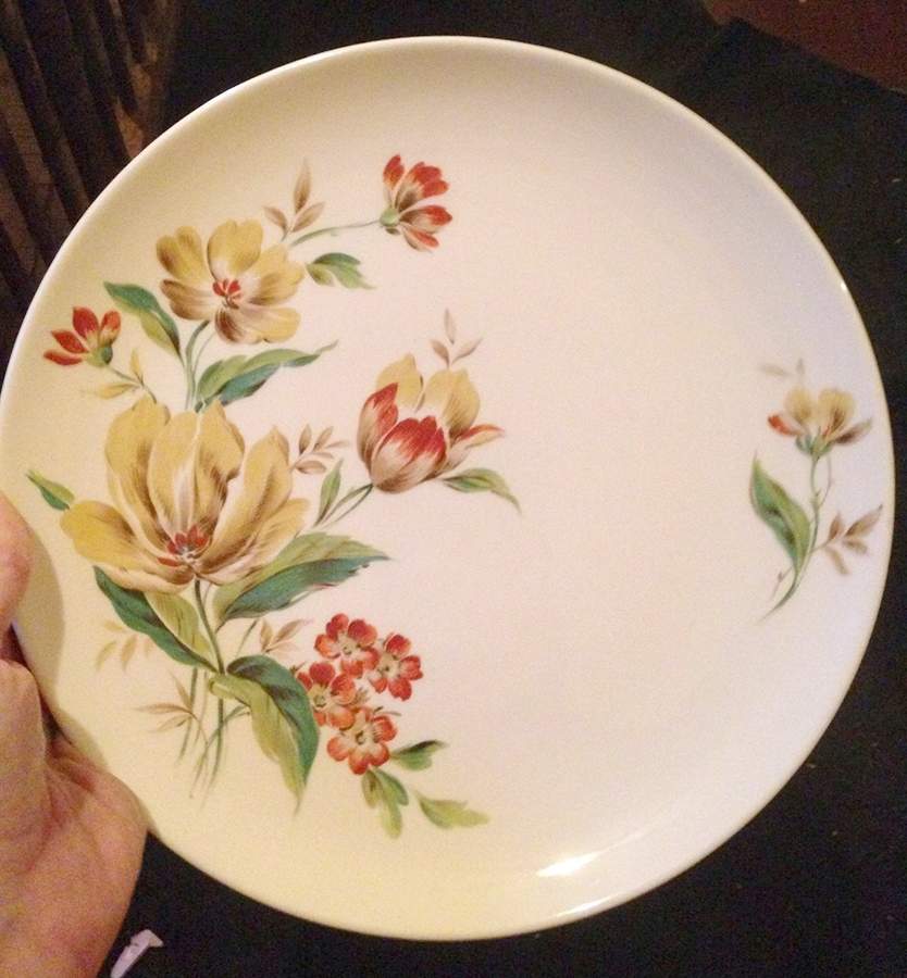 Roxanna No Trim Dinner Plate by Universal-1