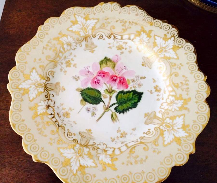 5543 Dinner Plate by Ridgway (Ridgways)-1