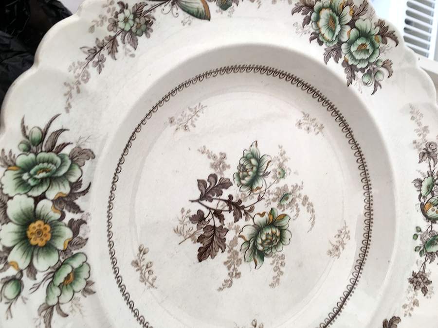 Flora Dinner Plate by Unknown Manufacturer-1