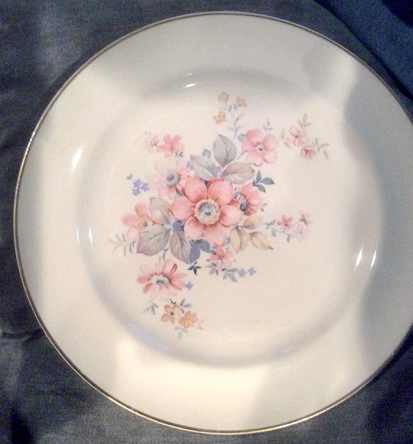 UNI236 Dinner Plate by Universal-1
