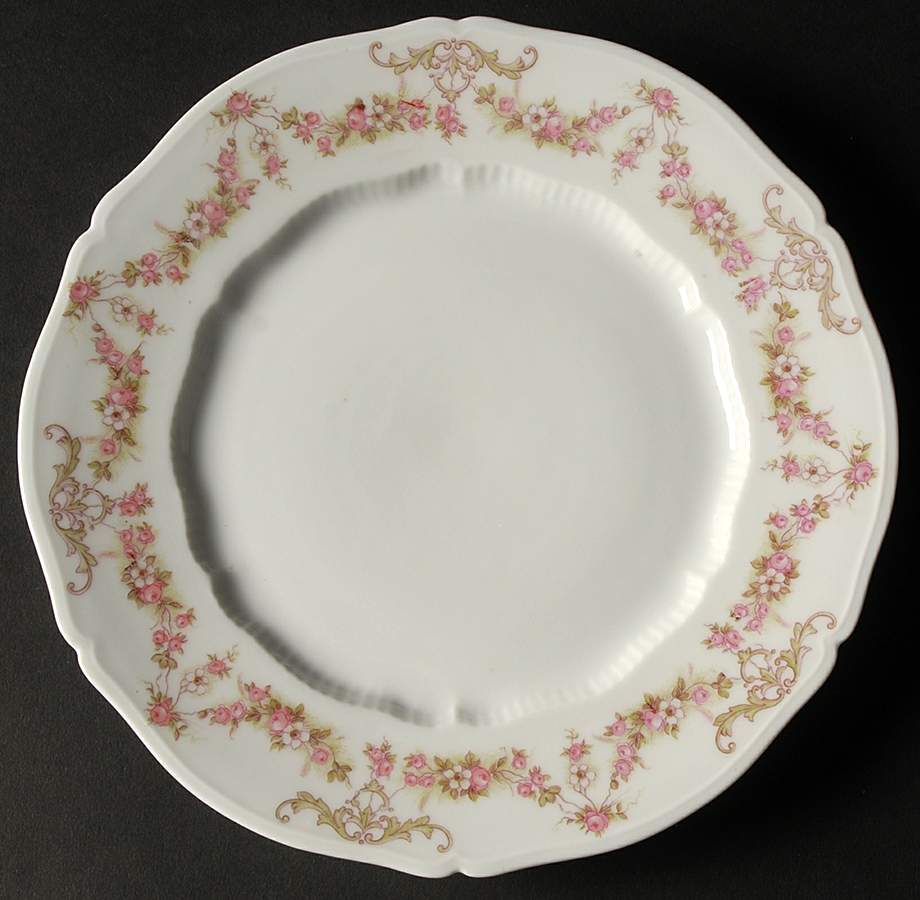 VNN2 Luncheon Plate by Vienna-1