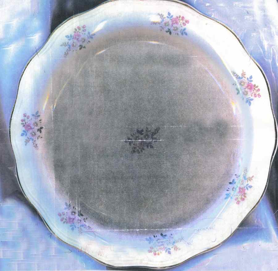 Nancy Belle Dinner Plate by Vanity Fair-1