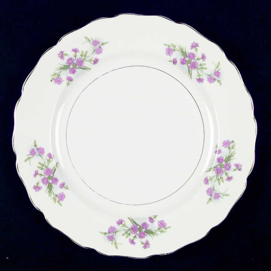Thistledown Dinner Plate by Vanity Fair-1