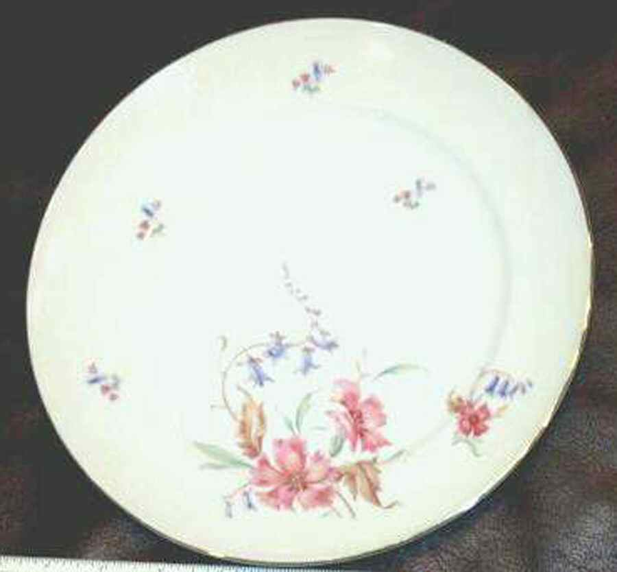 VCA1 (GERMANY) Dinner Plate by Victoria (Germany)-1