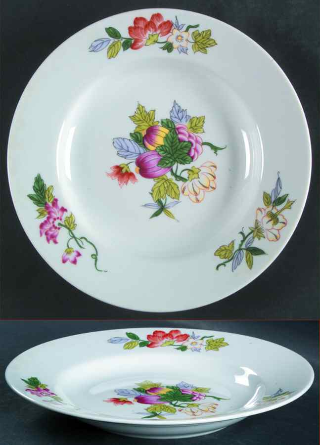 Gaia Large Rim Soup Bowl by Vista Alegre-1