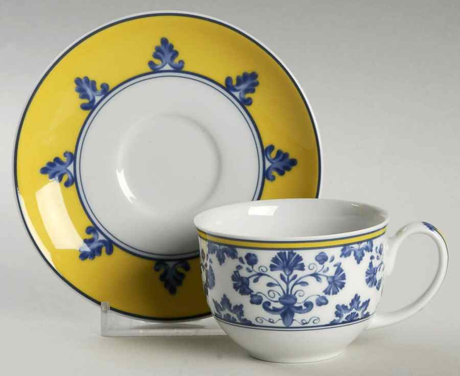Pavilion (Castelo Branco) Flat Demitasse Cup & Saucer Set by Vista Alegre-1
