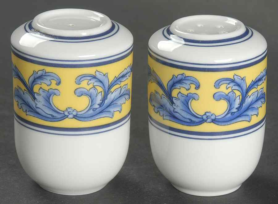 Salina Salt & Pepper Set by Vista Alegre-1