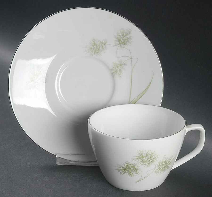 Greenbriar Flat Cup & Saucer Set by Vita Craft-1