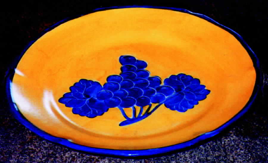 Uva Rim Soup Bowl by Vietri (Italy)-1