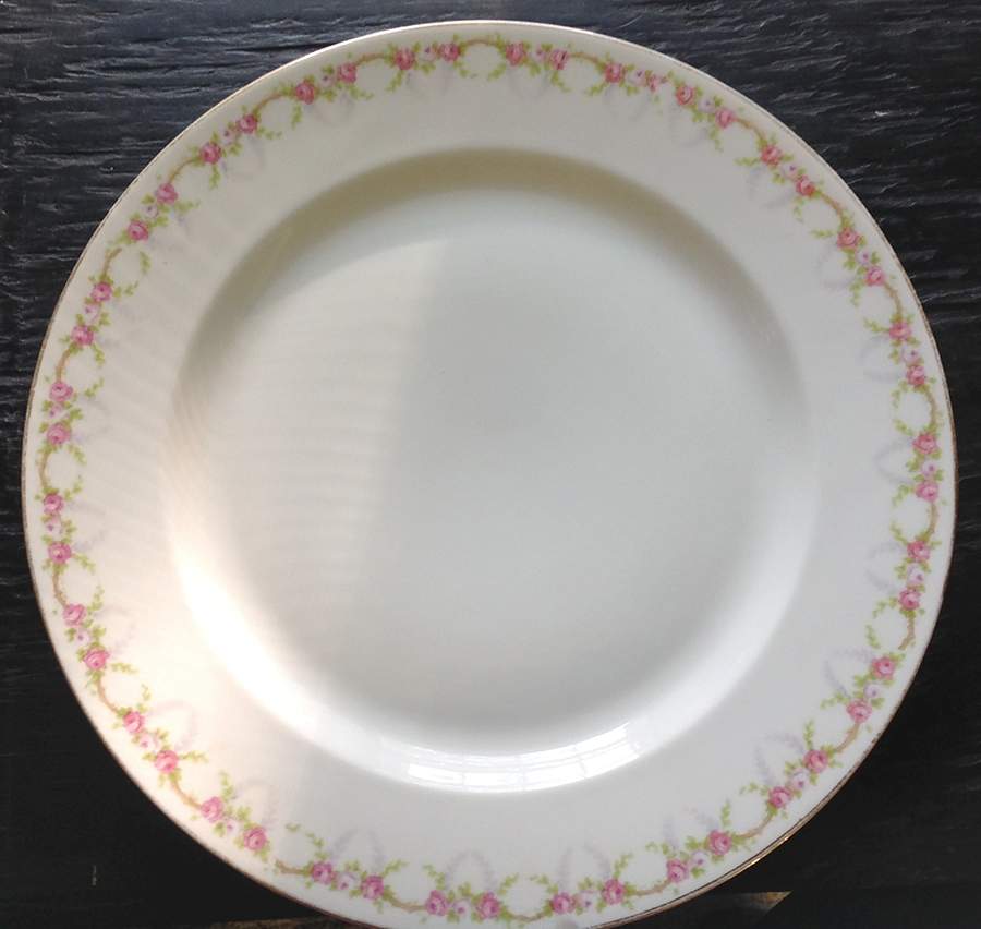 VIG24 Dinner Plate by Vignaud-1