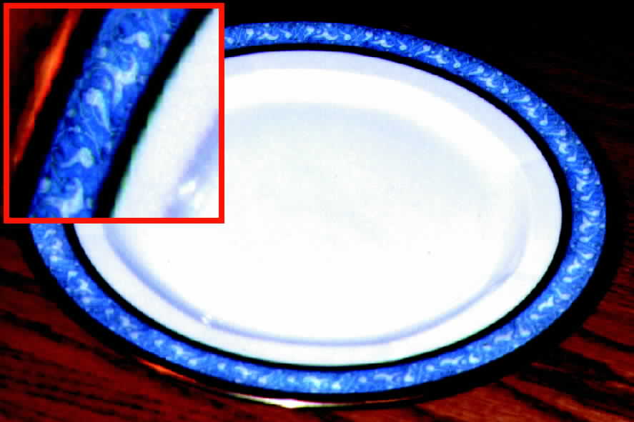 VIG27 Dinner Plate by Vignaud-1