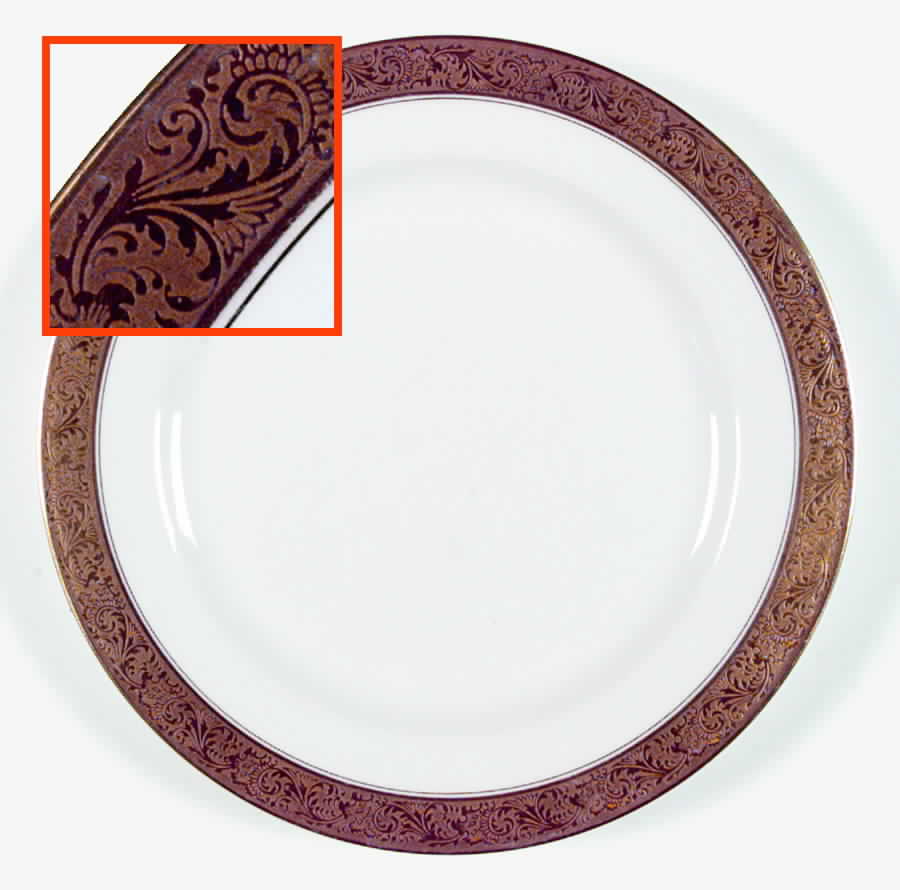 VIG28 Dinner Plate by Vignaud-1