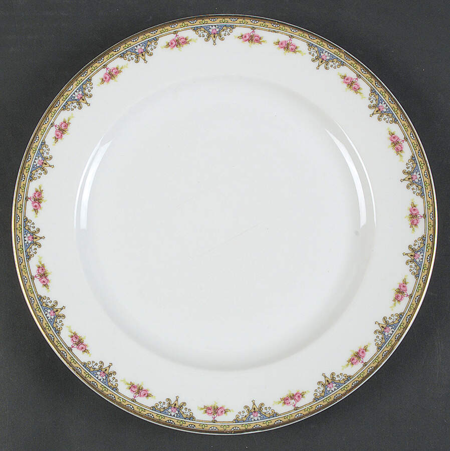 VIG3 Dinner Plate by Vignaud-1