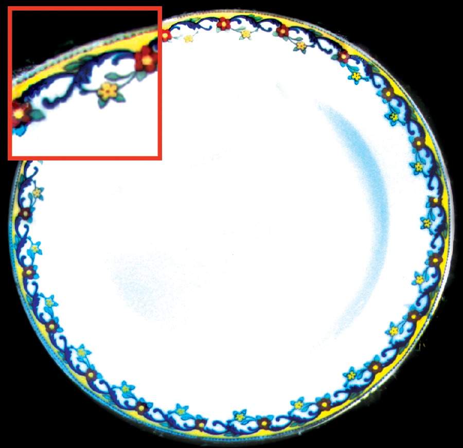 VIG38 Dinner Plate by Vignaud-1