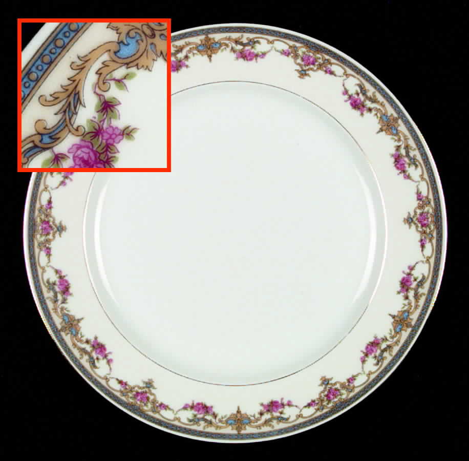 VIG49 Dinner Plate by Vignaud-1