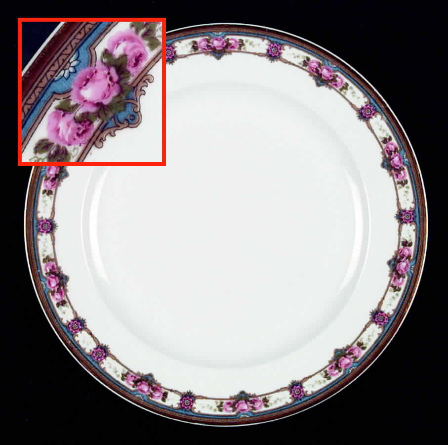VIG57 Dinner Plate by Vignaud-1
