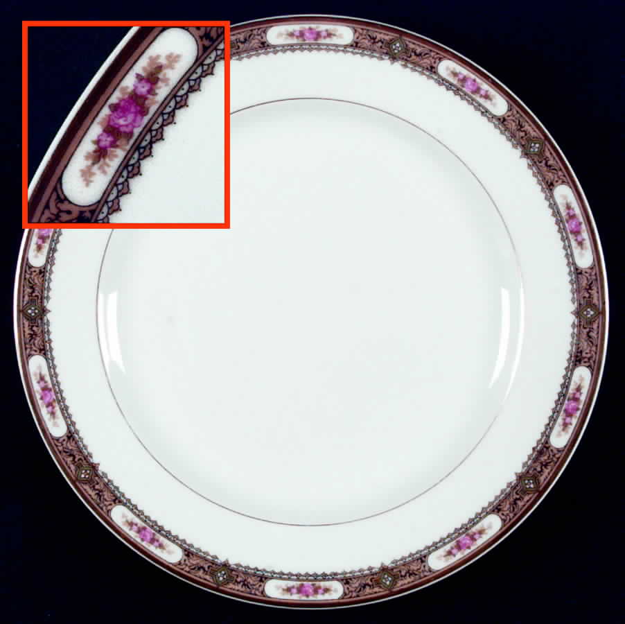VIG7 Dinner Plate by Vignaud-1