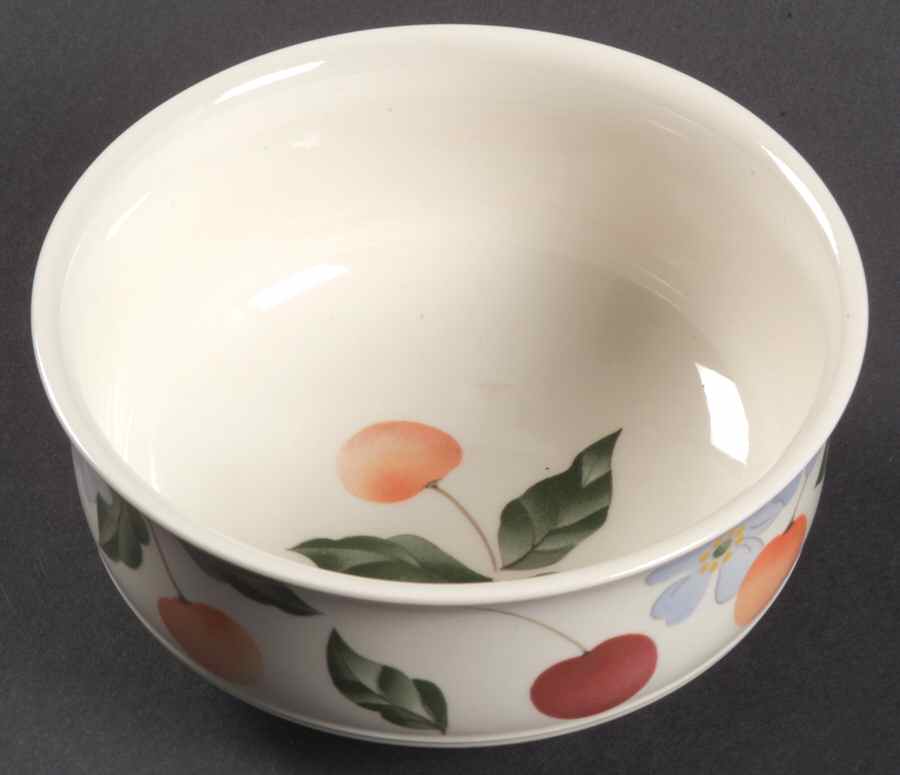 Amigo Fruit/Dessert (Sauce) Bowl by Villeroy & Boch-1
