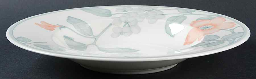 Aria Large Rim Soup Bowl by Villeroy & Boch-1