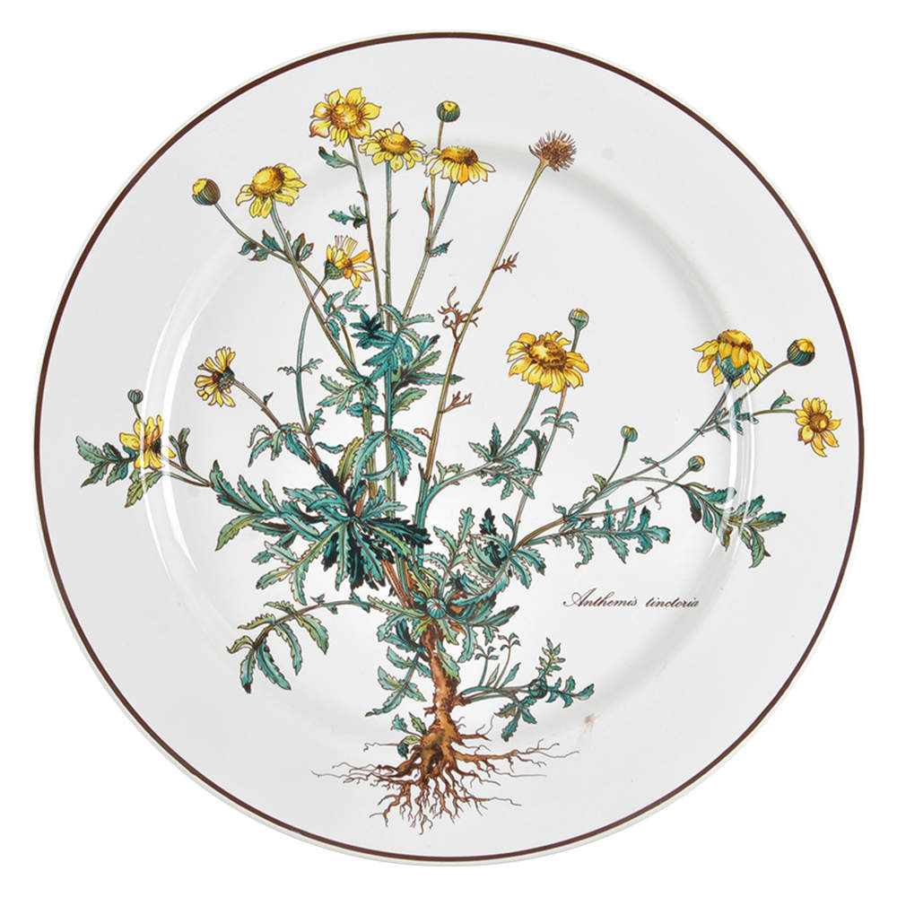 Botanica Dinner Plate by Villeroy & Boch-1