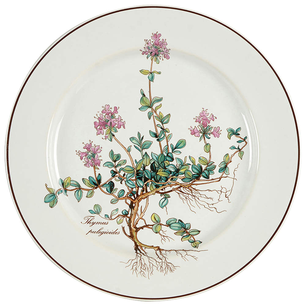 Botanica Salad Plate by Villeroy & Boch-1