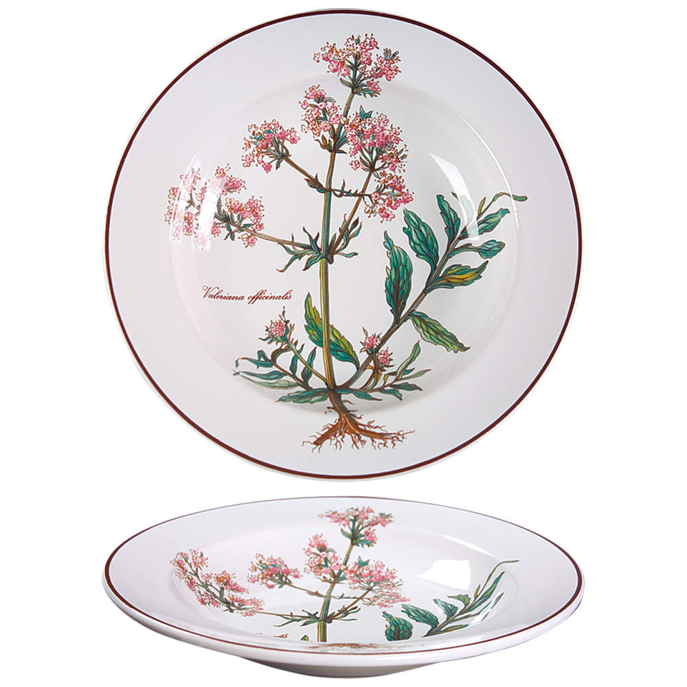 Botanica Rim Soup Bowl by Villeroy & Boch-1