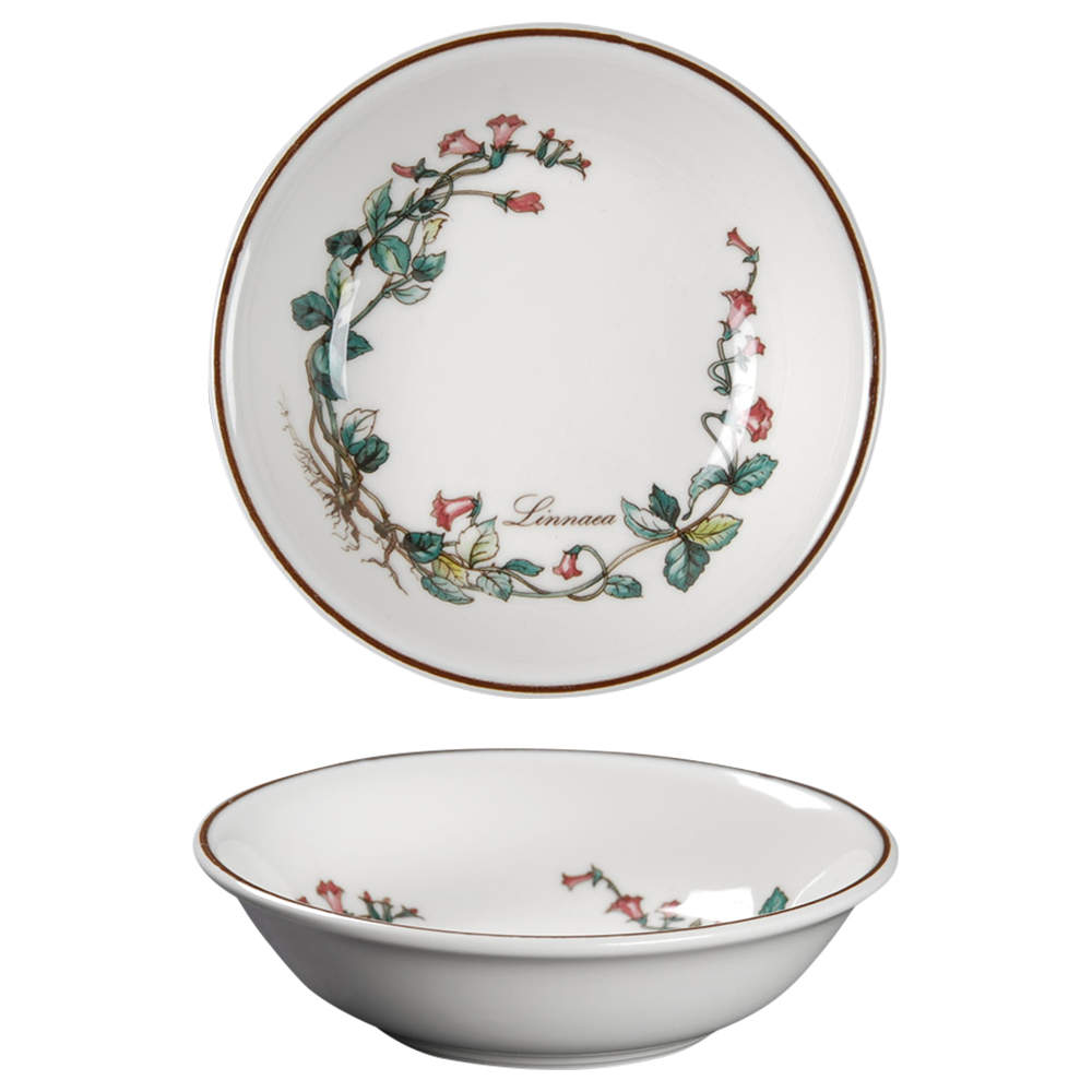 Botanica Fruit/Dessert (Sauce) Bowl by Villeroy & Boch-1